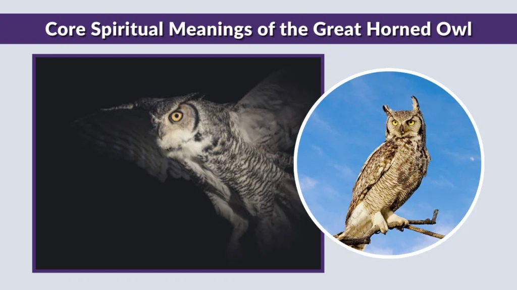 Core Spiritual Meanings of the Great Horned Owl