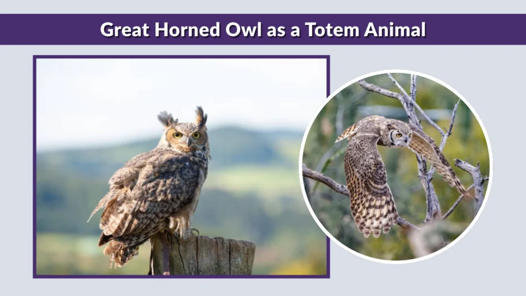 Great Horned Owl as a Totem Animal