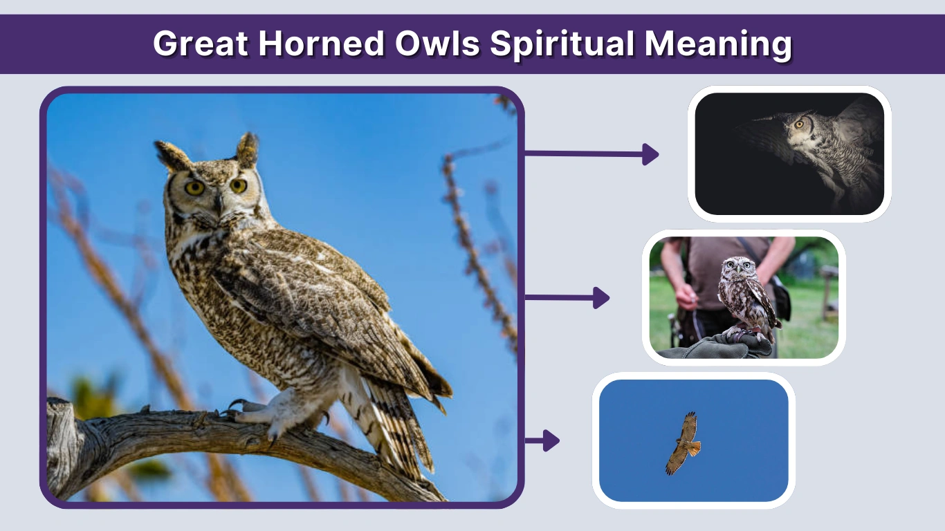 Great Horned Owls Spiritual Meaning: Signs, Symbolism & Messages