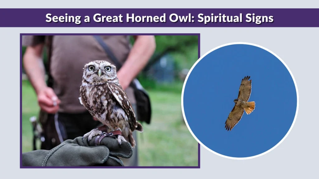 Seeing a Great Horned Owl Spiritual Signs