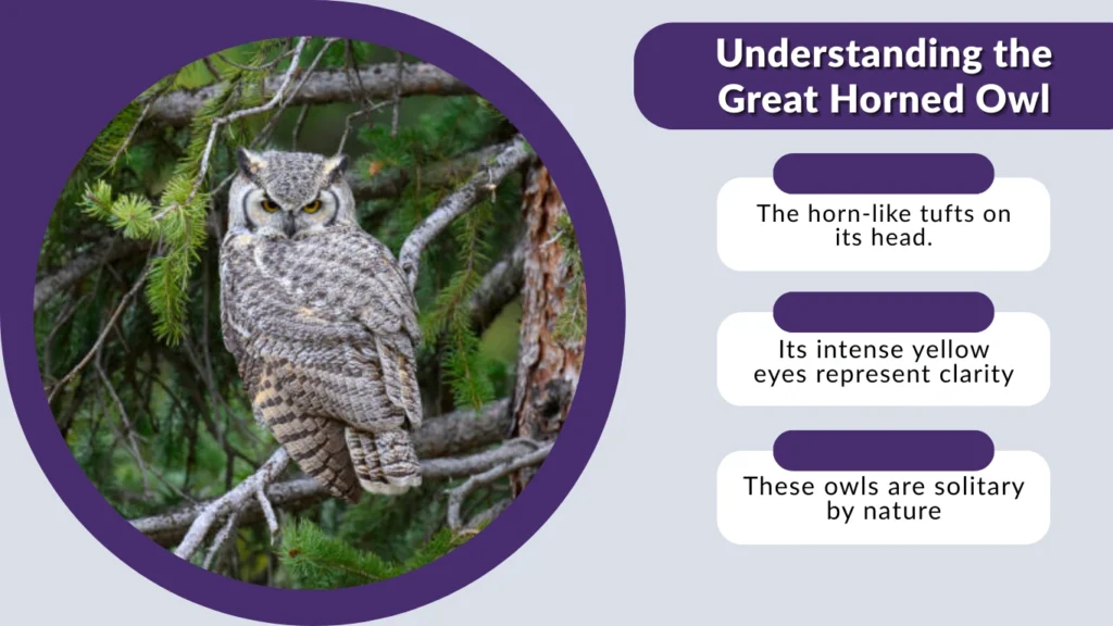 Understanding the Great Horned Owl