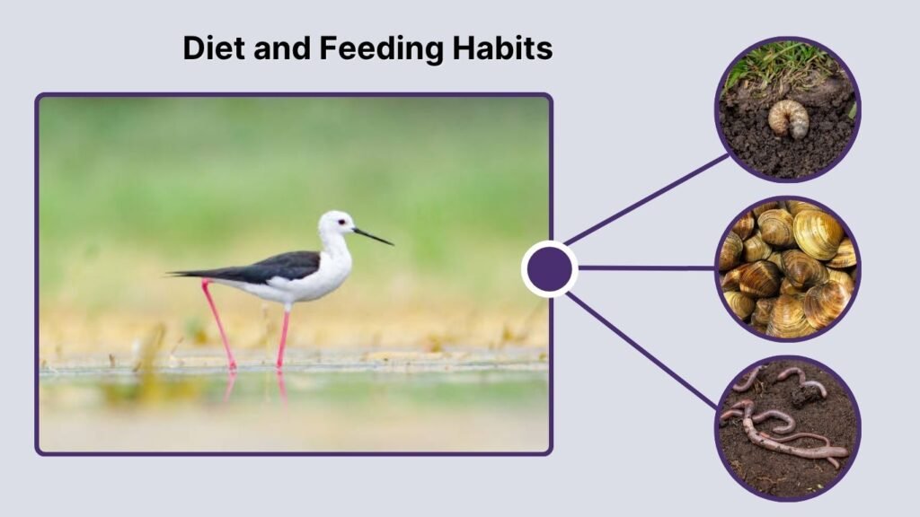Diet and Feeding Habits