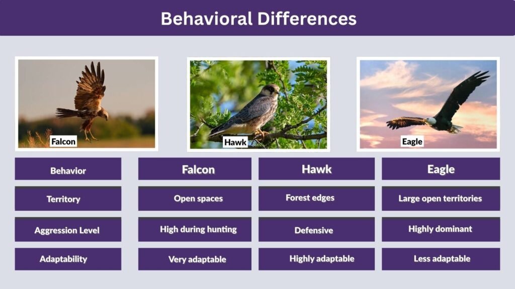 Behavioral Differences