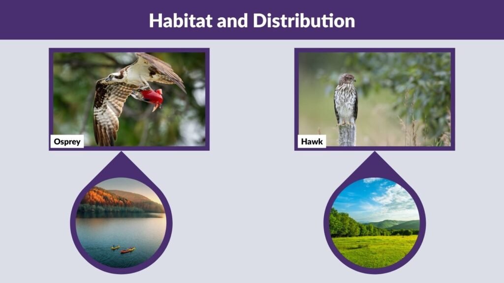 Habitat and Distribution
