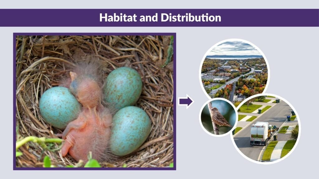 Habitat and Distribution