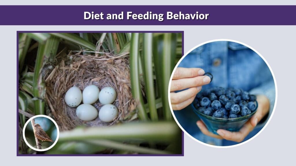 Diet and Feeding Behavior