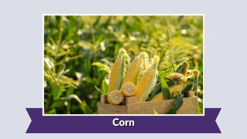 Corn