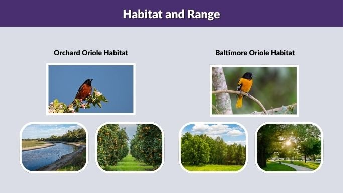 Habitat and Range