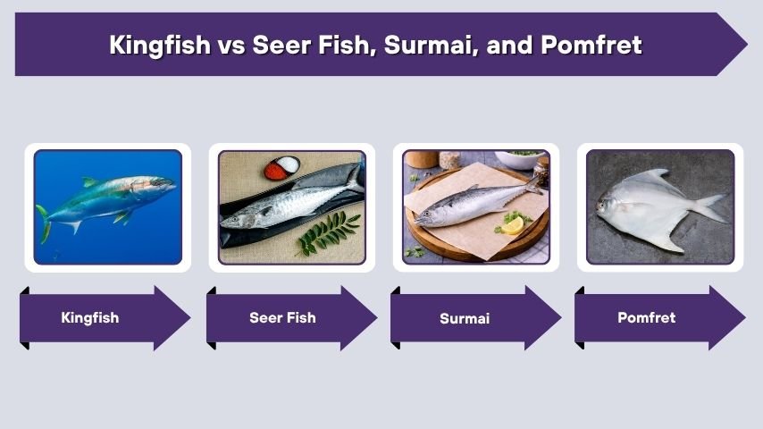 Kingfish vs Seer Fish, Surmai, and Pomfret