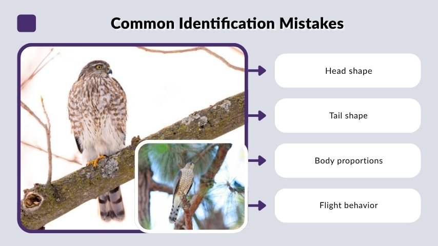Common Identification Mistakes
