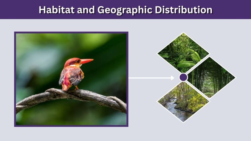 Habitat and Geographic Distribution