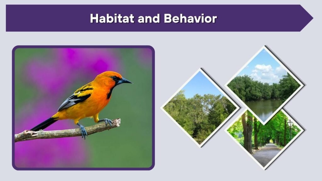 Habitat and Behavior