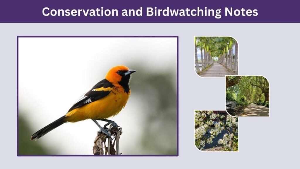 Conservation and Birdwatching Notes