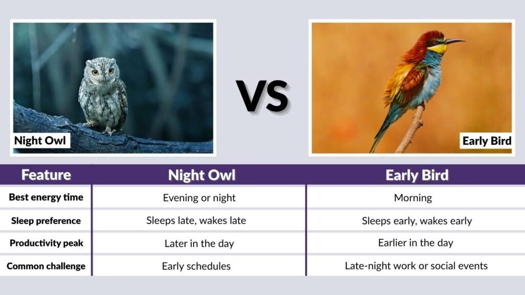 Night Owl vs Early Bird: Quick Comparison