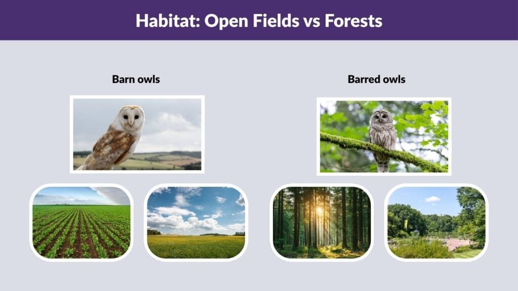 Habitat: Open Fields vs Forests