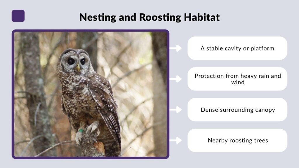 Nesting and Roosting Habitat