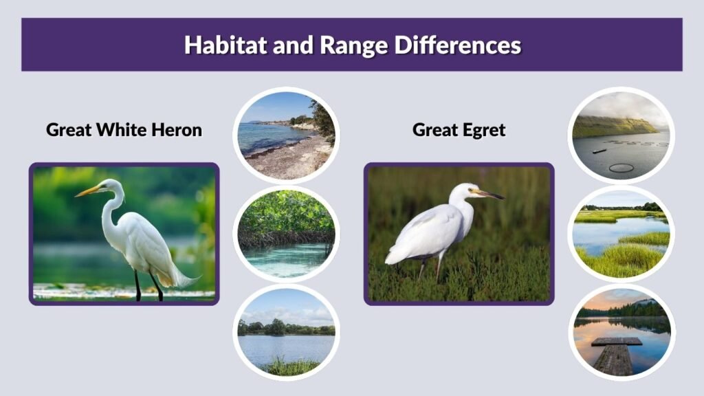 Habitat and Range Differences