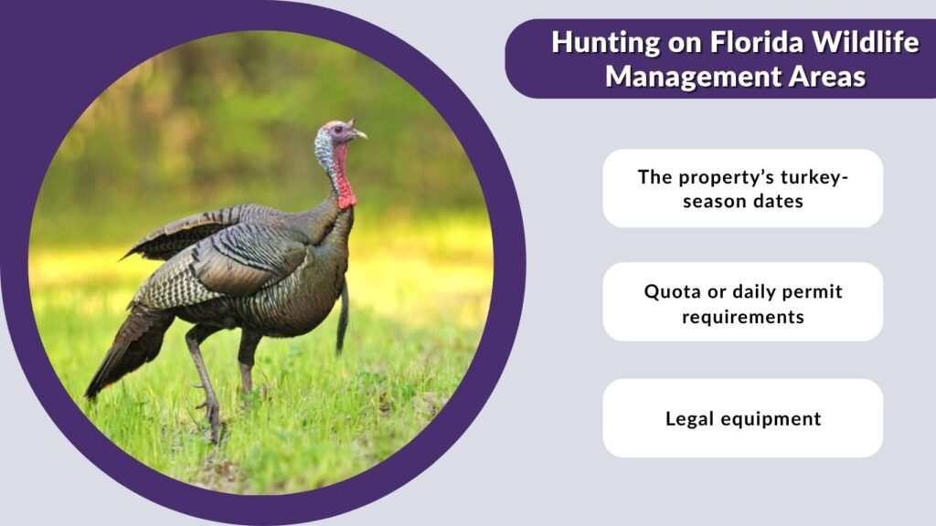 Hunting on Florida Wildlife Management Areas