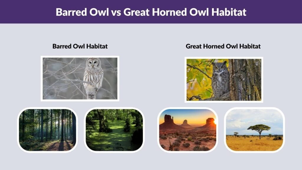 Barred Owl vs Great Horned Owl Habitat