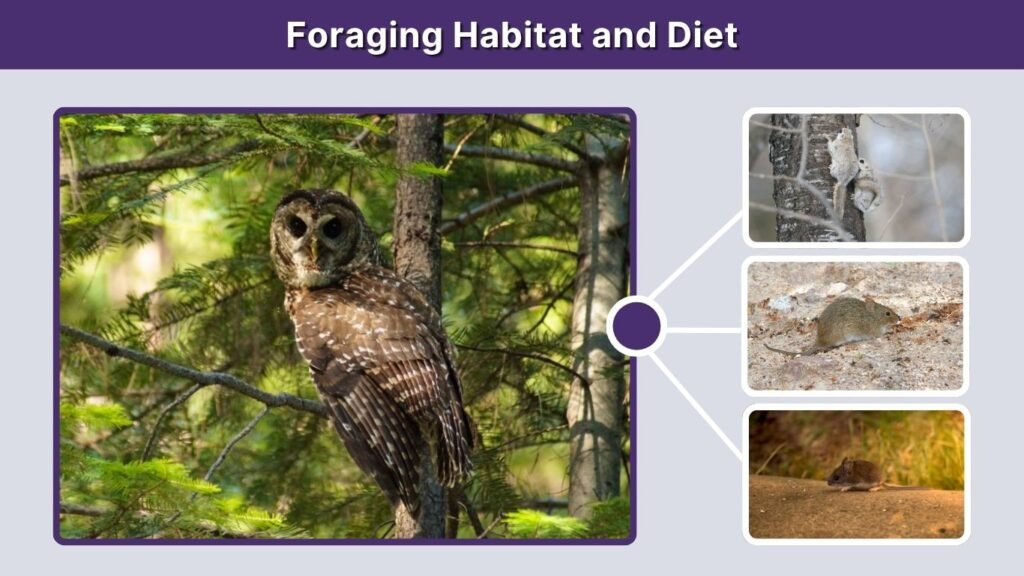 Foraging Habitat and Diet