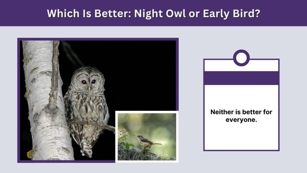Which Is Better: Night Owl or Early Bird?