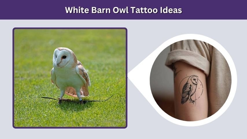 White Barn Owl Tattoo Ideas