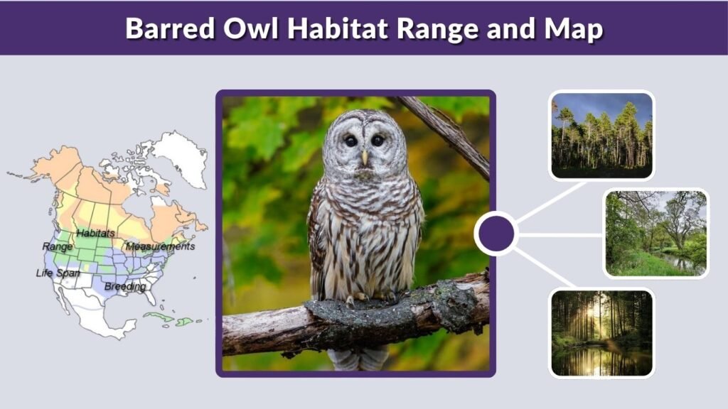 Barred Owl Habitat Range and Map