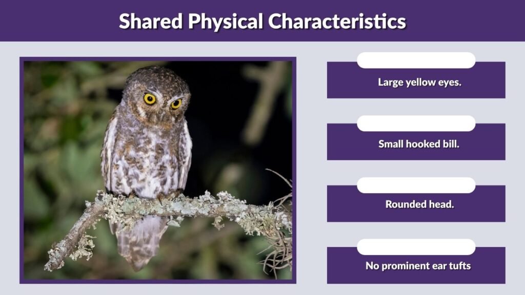 Shared Physical Characteristics