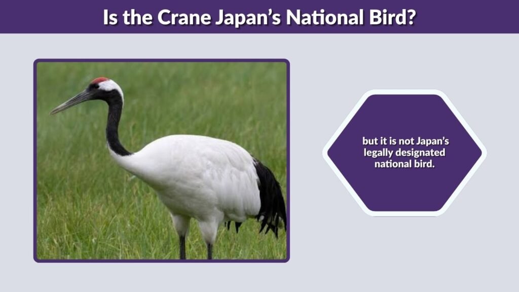 Is the Crane Japan’s National Bird?