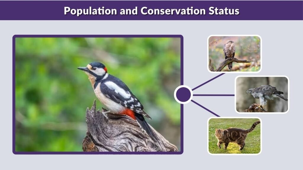 Population and Conservation Status