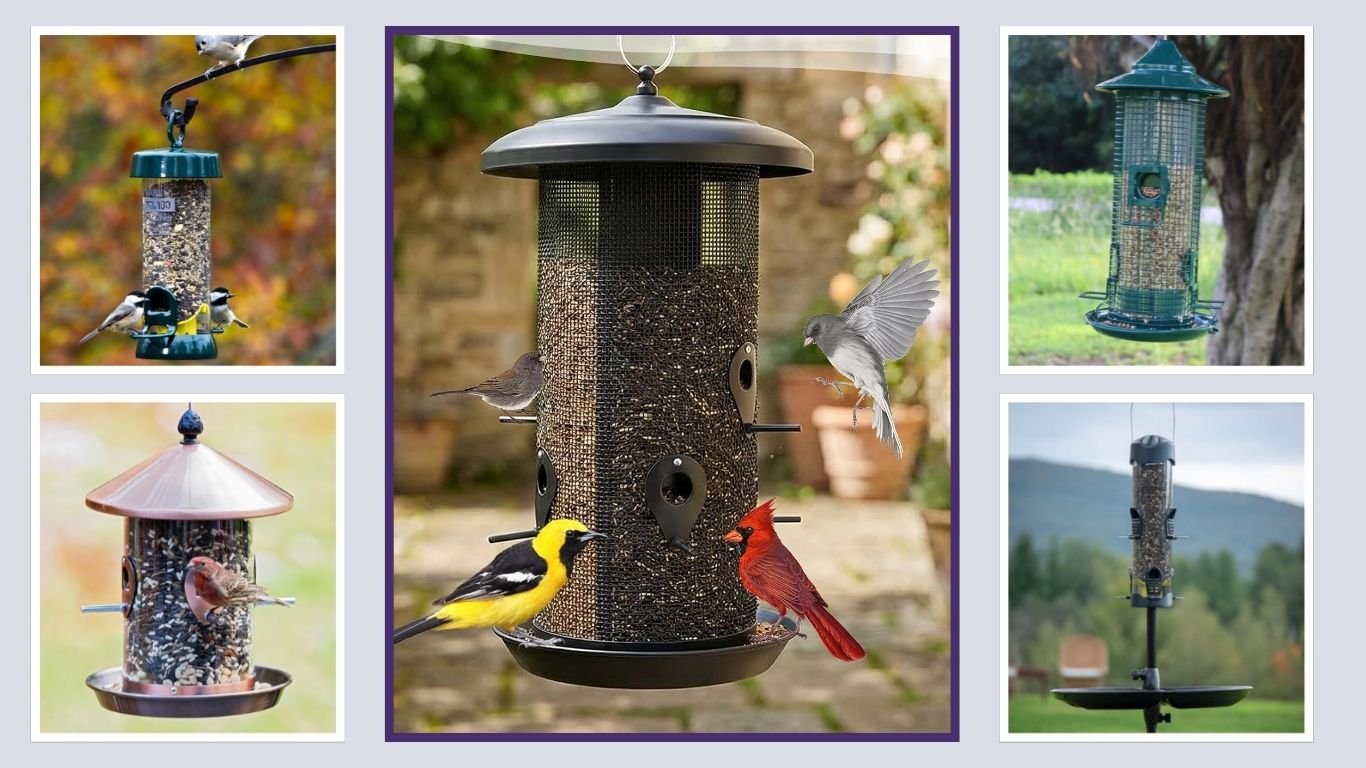 9 Best Tube Bird Feeders for Backyard Birds