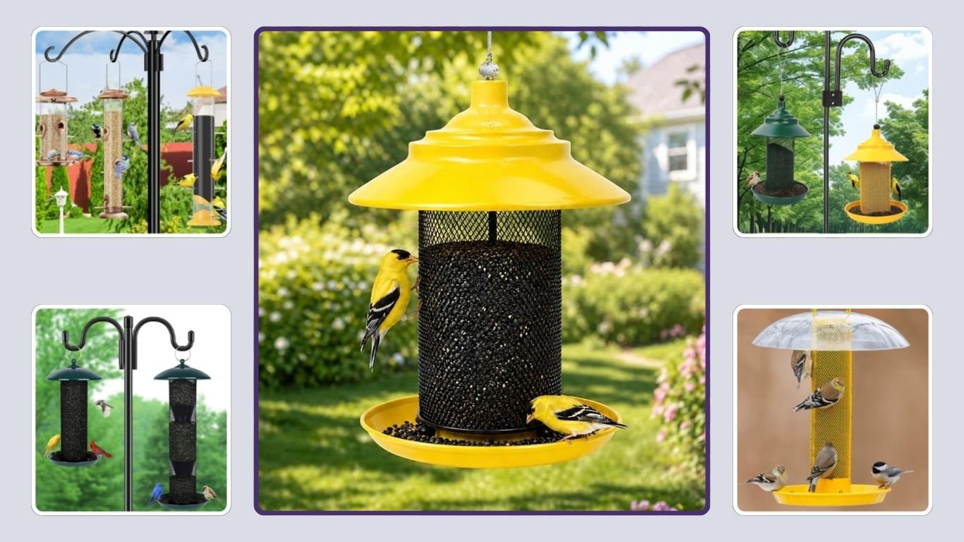 8 Best Finch Bird Feeders for Goldfinches & Small Birds