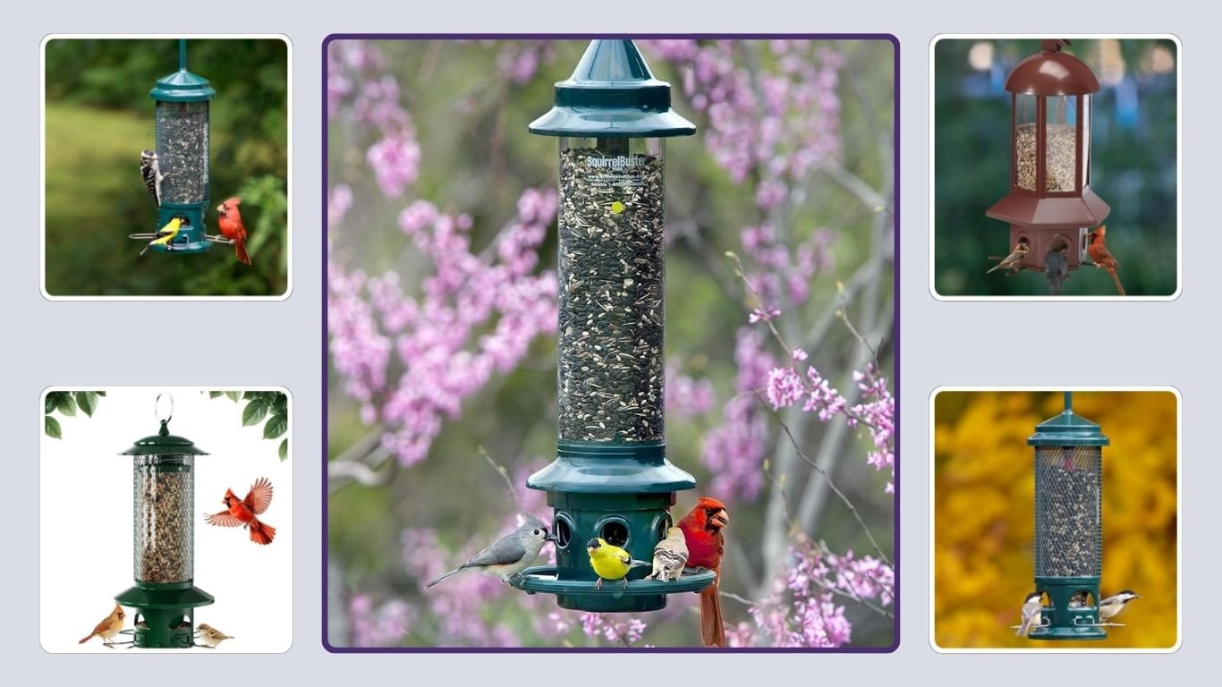 10 Best Squirrel Resistant Bird Feeders for Outdoor Birds
