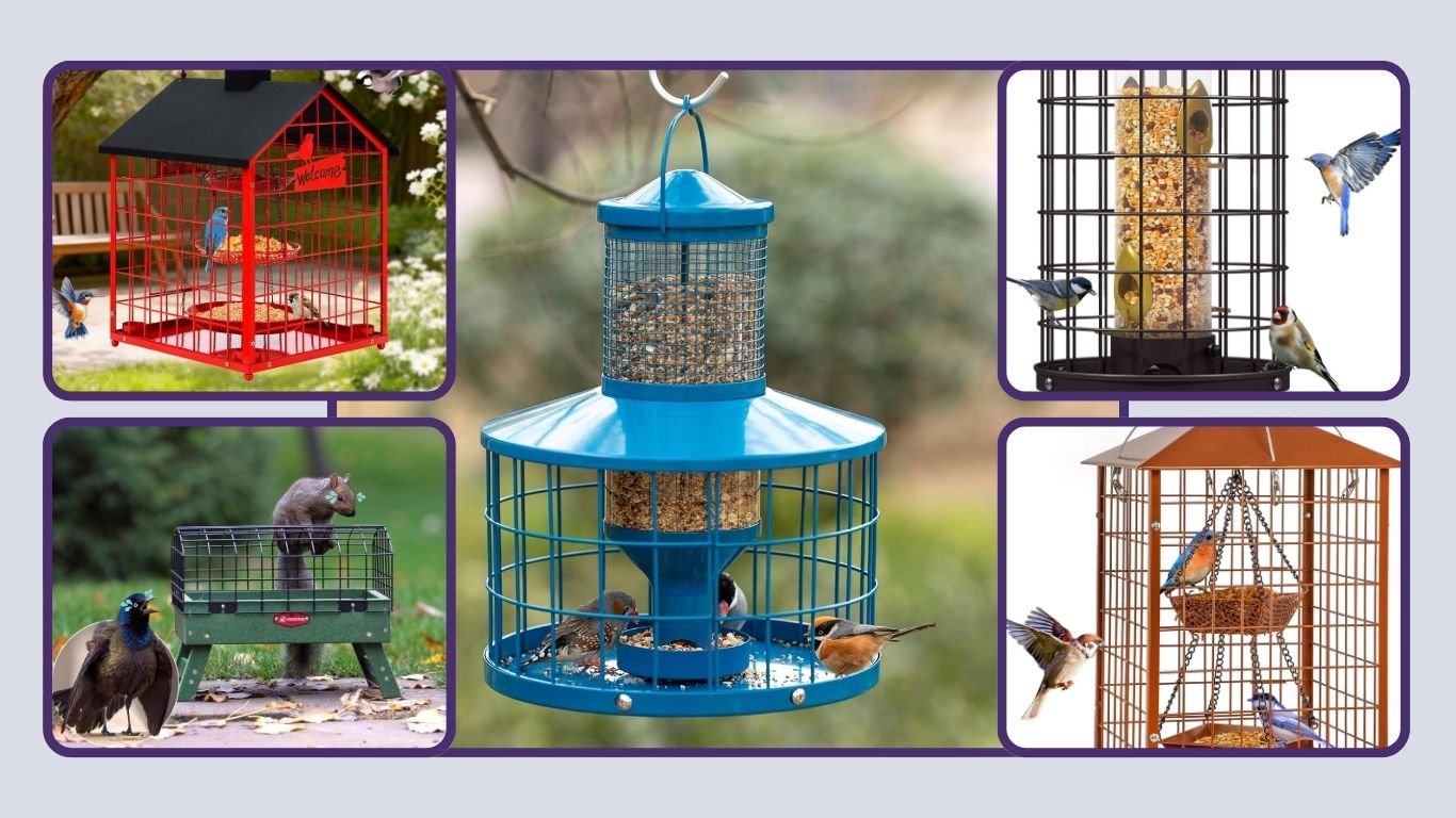 8 Best Caged Bird Feeders for Safer Backyard Feeding