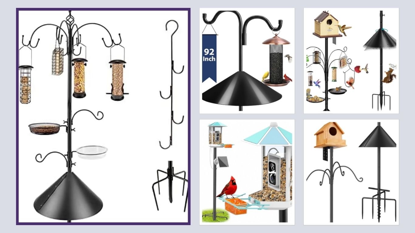 9 Best Bird Feeders on Poles for Easy Backyard Feeding