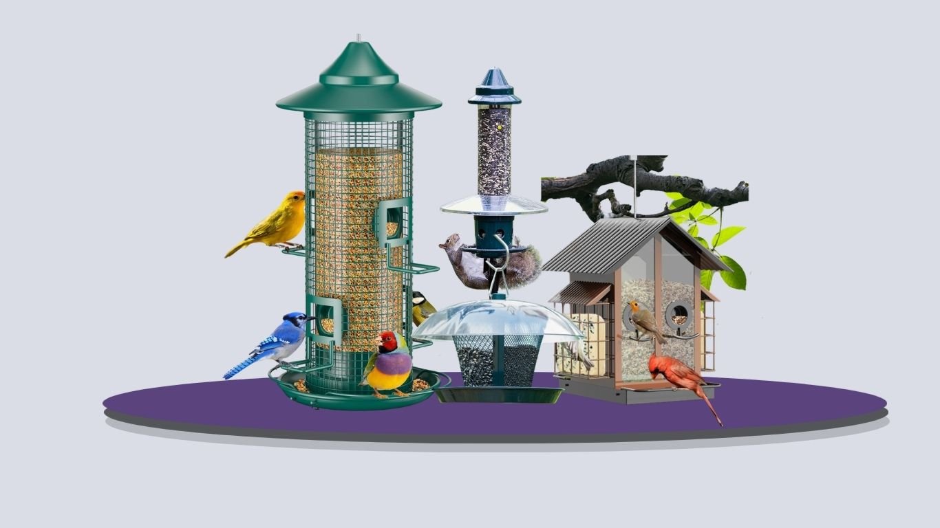 9 Best Cardinal Bird Feeders for Easy Backyard Feeding