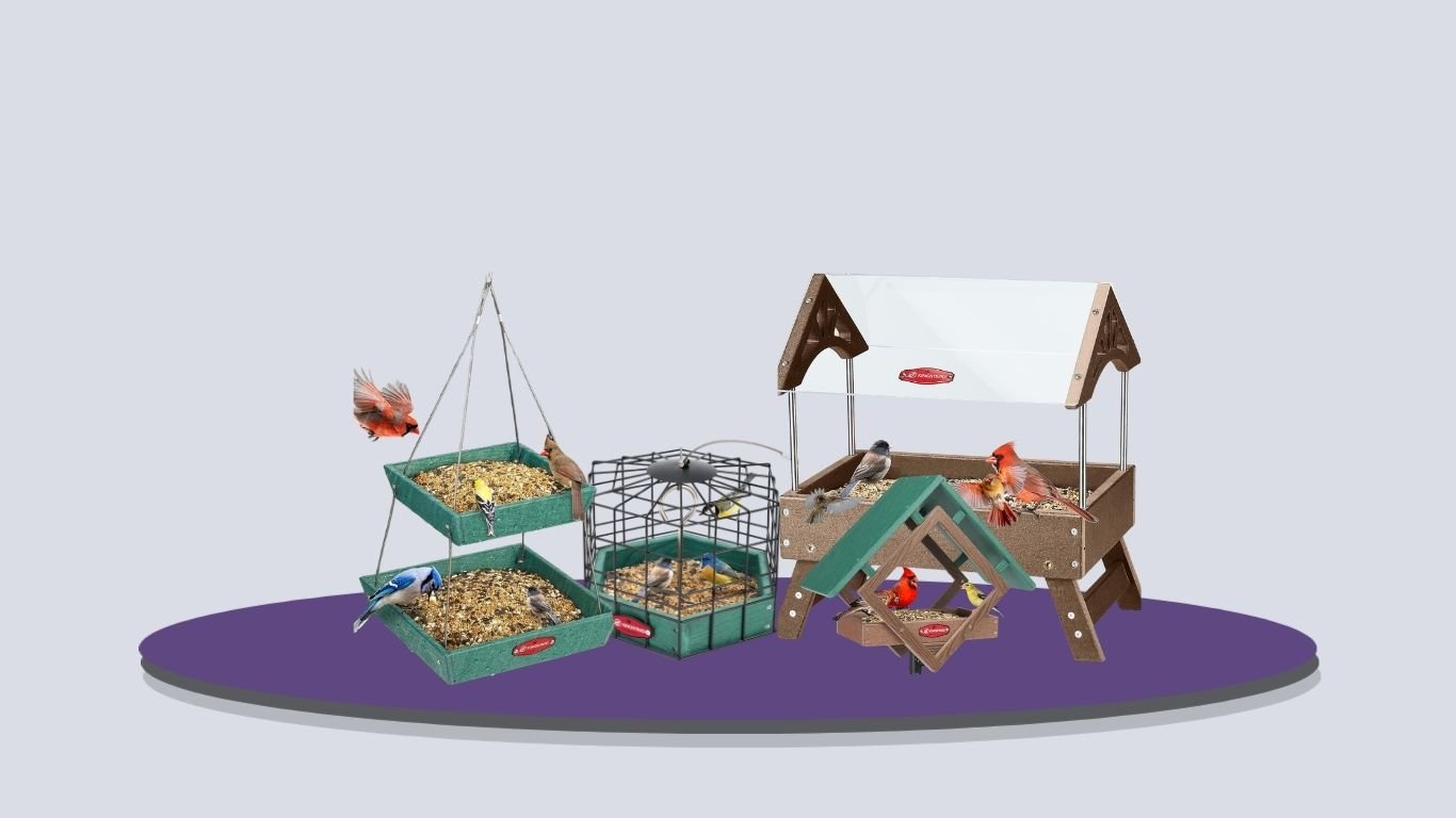 11 Best Platform Bird Feeders for Easy Backyard Feeding