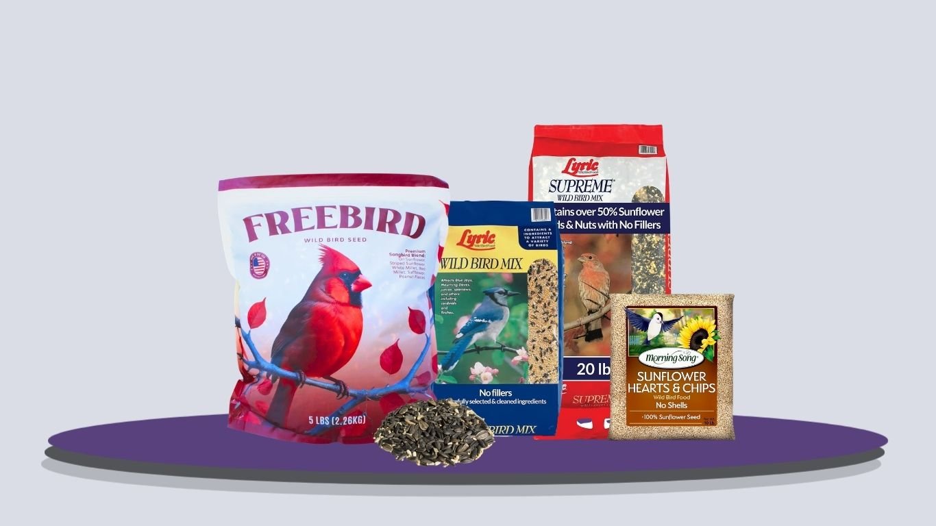 10 Best Wild Bird Seed for Backyard Birds