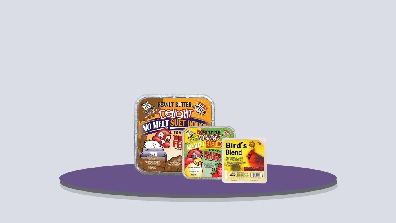 9 Best Suet Cakes for Birds to Attract Backyard Favorites