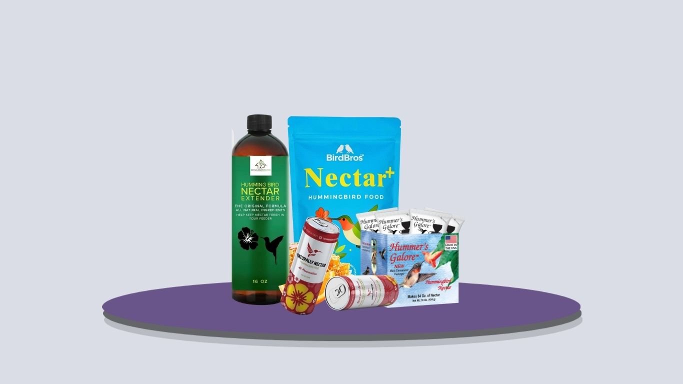 9 Best Hummingbird Nectars for Backyard Feeders