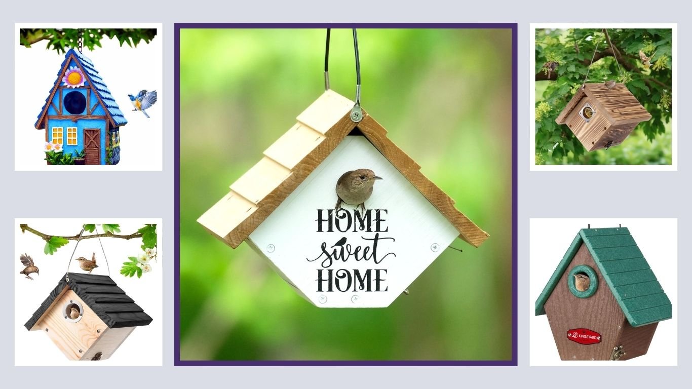 10 Best Wren Bird Houses for Safe Backyard Nesting