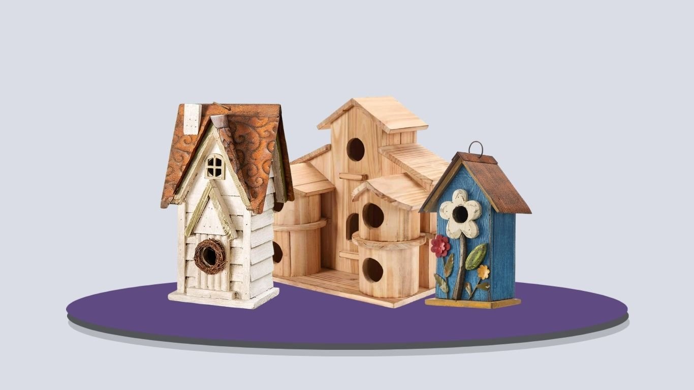 9 Best Bird Houses for Sparrows for Safe Backyard Nesting