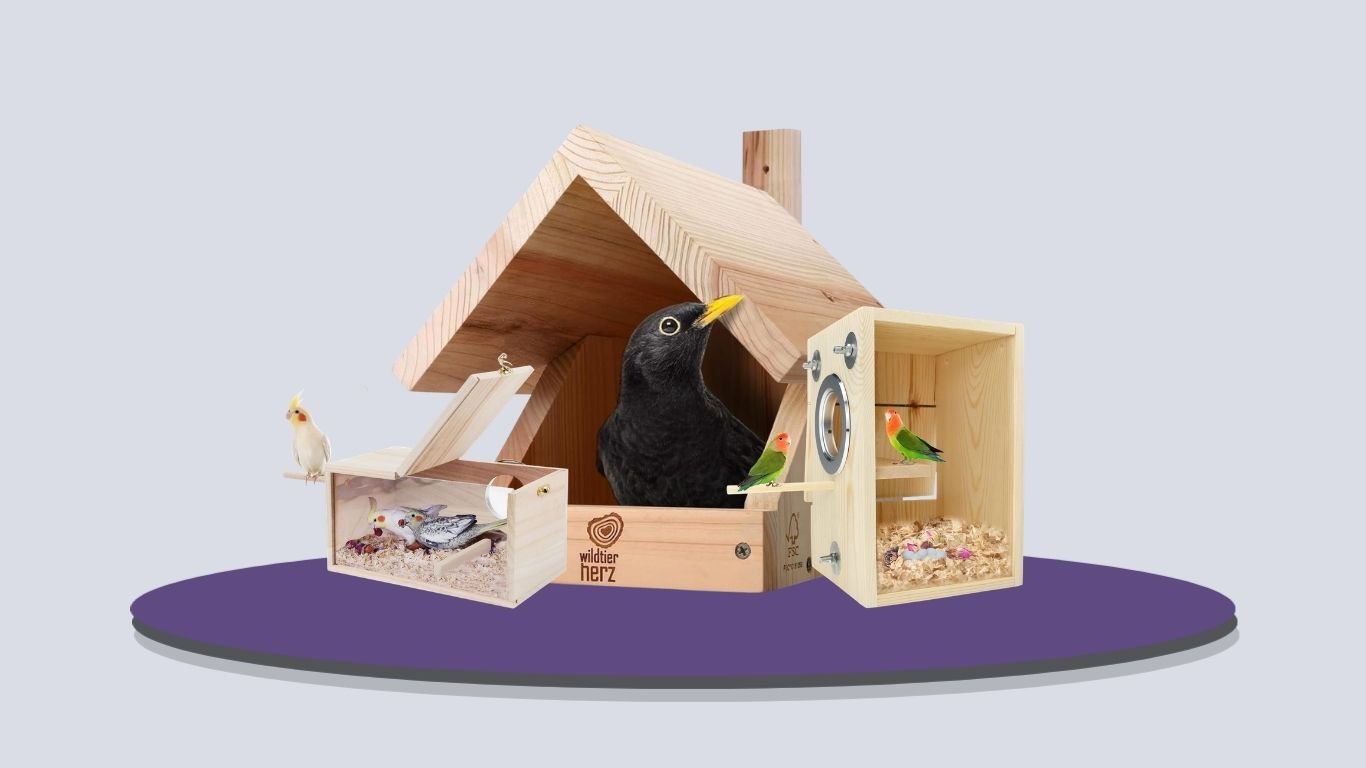 Top 9 Best Bird Nesting Boxes for Safe and Comfortable Breeding