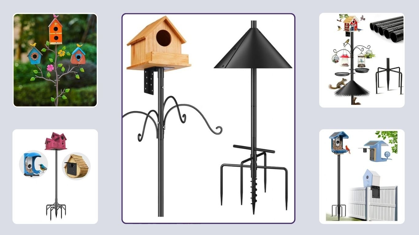 10 Best Bird House Poles for Stable Outdoor Mounting