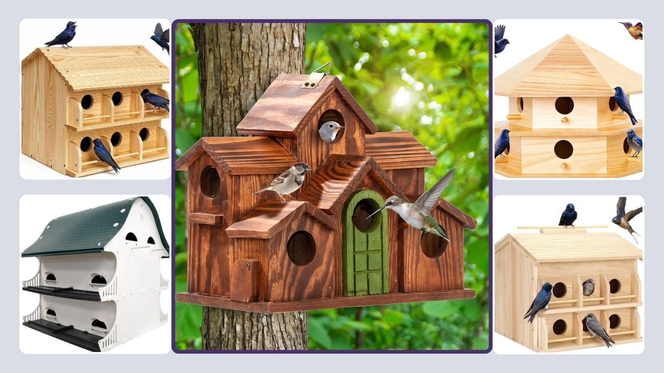 13 Best Purple Martin Houses for Growing Bird Colonies
