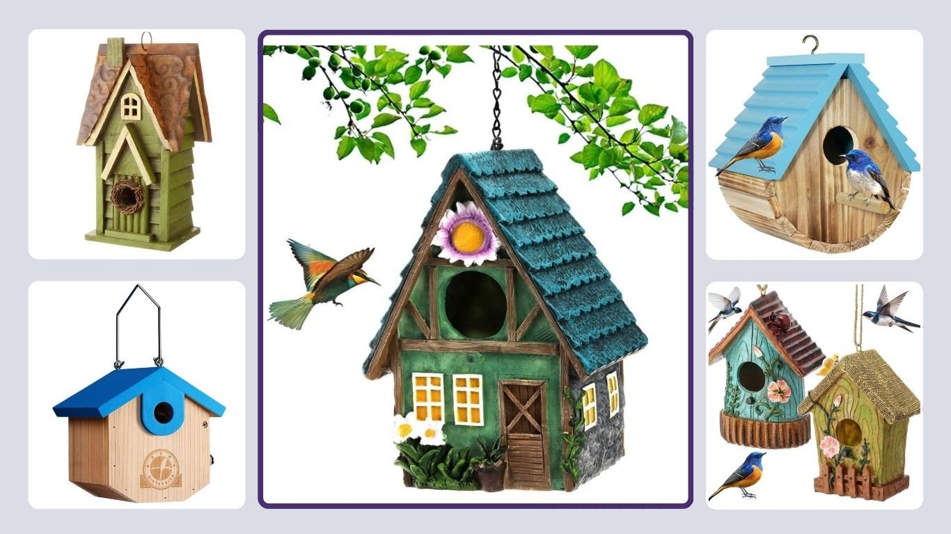 Top 10 Best Hanging Bird Houses for Your Backyard