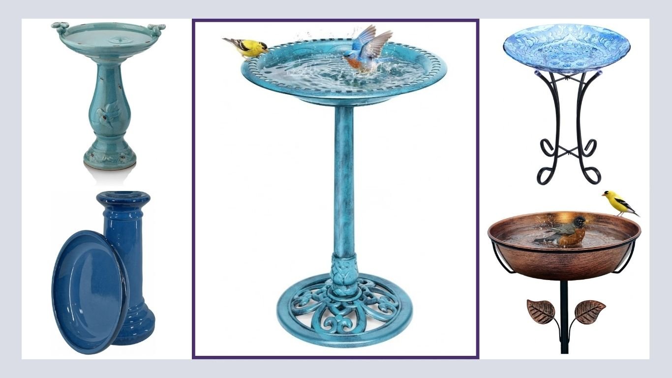 9 Best Bird Baths for Gardens, Patios & Backyards