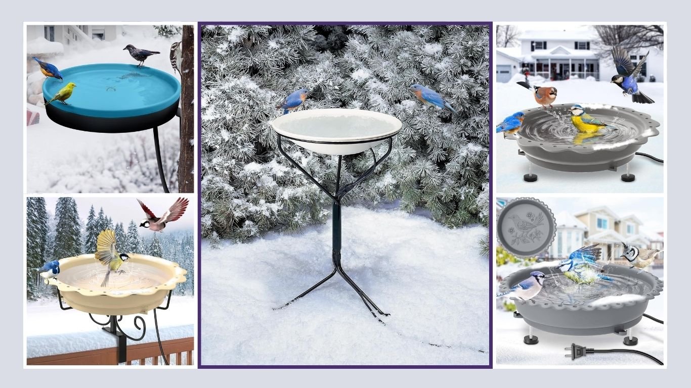 13 Best Heated Bird Baths for Winter Water Access