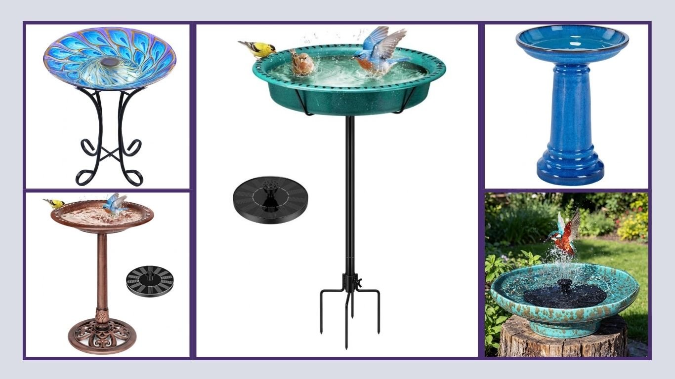 6 Best Solar Heated Bird Baths for Outdoor Bird Care