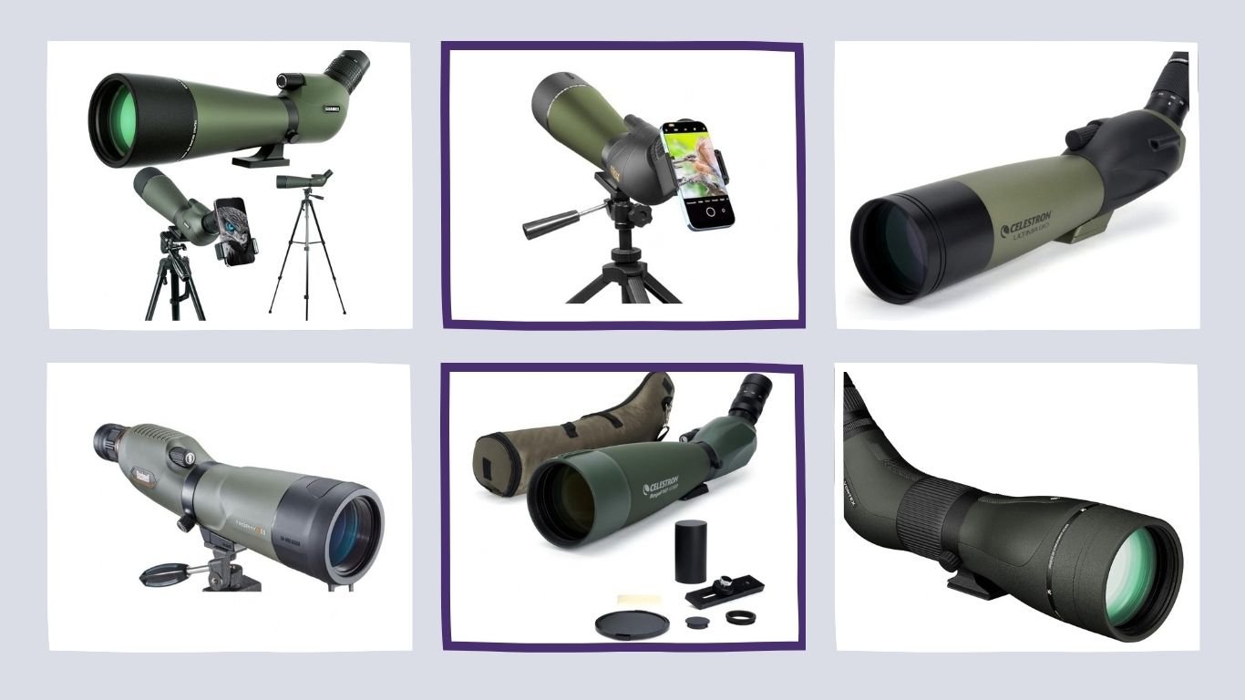 9 Best Spotting Scopes for Bird Watching for Clear Long-Range Views